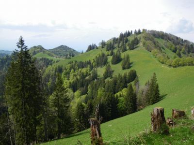 Schnebelhorn (view from Neurüti)