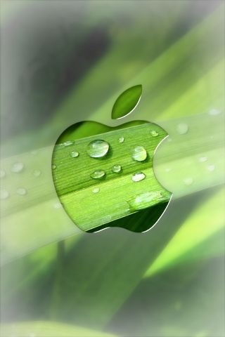 Apple goes green